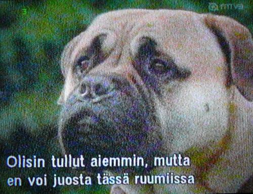 kohiseva kuva ilman antennia